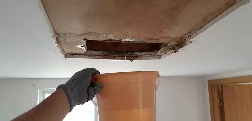 Ceiling Mold Repair Jenkinsburg