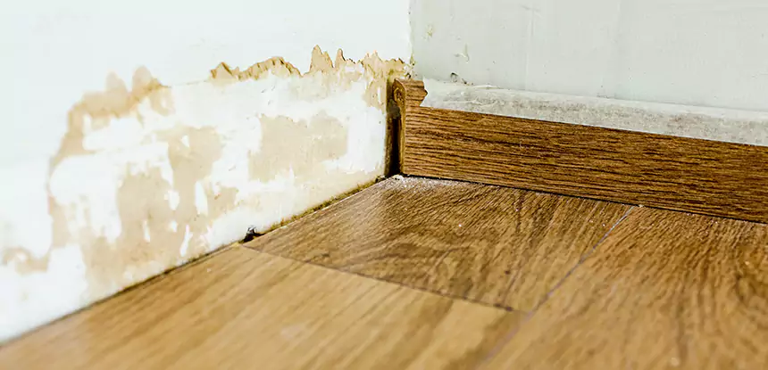 Professional Fix Water Damaged Wood Services in Jenkinsburg, GA